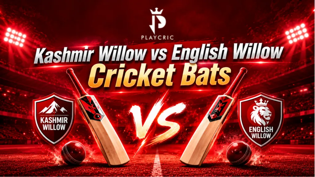 Kashmir Willow vs English Willow cricket bats
